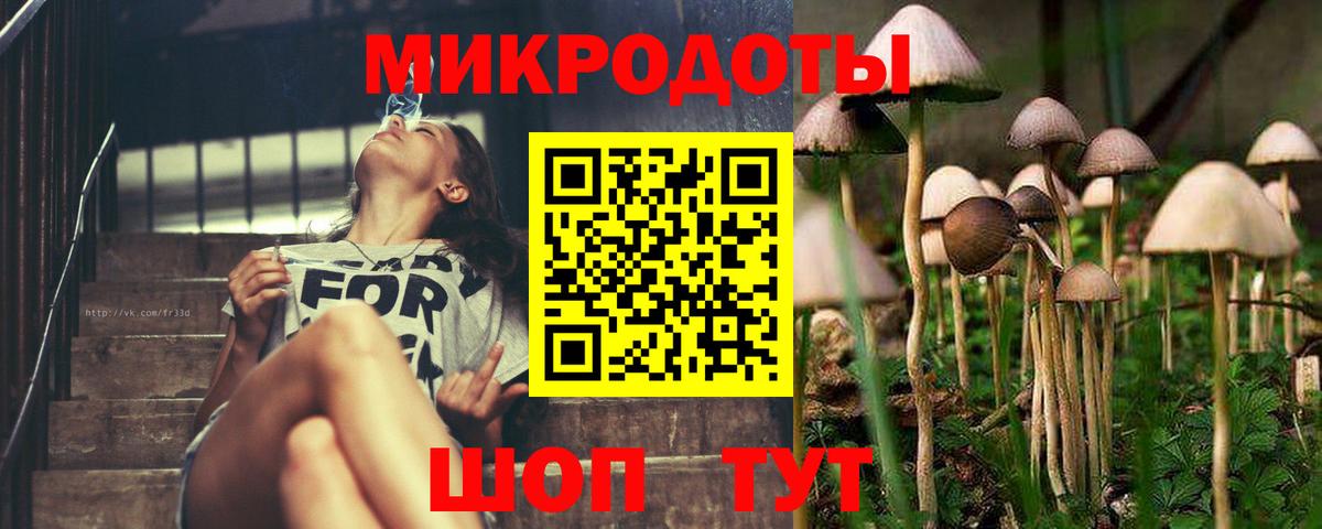 Вышний Волочёк  Галлюциногенные грибы Psilocybine cubensis  Вход с VPN 