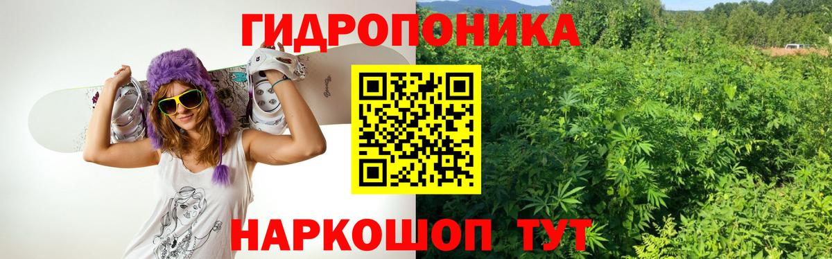 Бошки марихуана гибрид  Вход с VPN  Вышний Волочёк  Бошки марихуана LSD WEED 